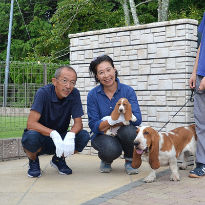 バセットハウンドが埼玉県のソレンティ様のもとへ巣立ちました 全国対応のブリーダー モトコランド奮闘記